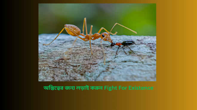 অস্তিত্বের জন্য লড়াই করুন Fight For Existence