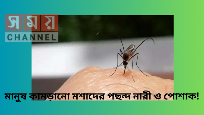 মানুষ কামড়ানো মশাদের পছন্দ নারী ও পোশাক!