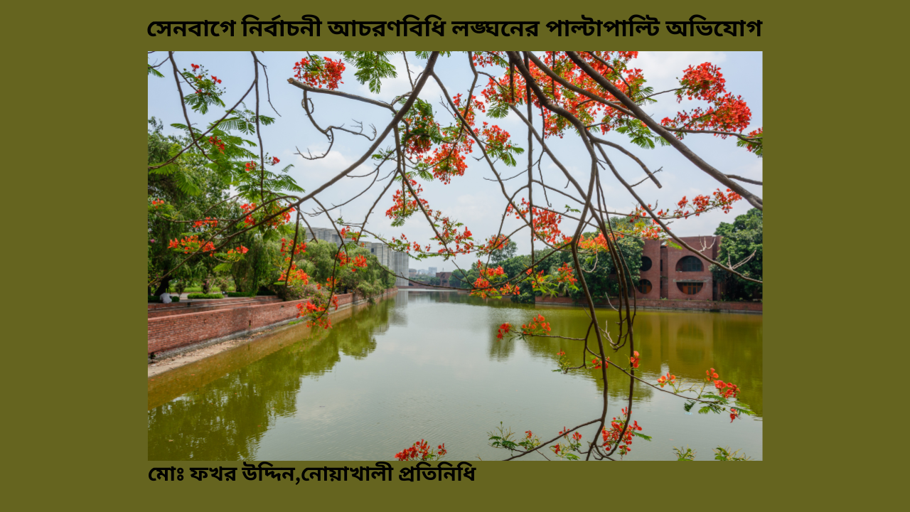 সেনবাগে নির্বাচনী আচরণবিধি লঙ্ঘনের পাল্টাপাল্টি অভিযোগ