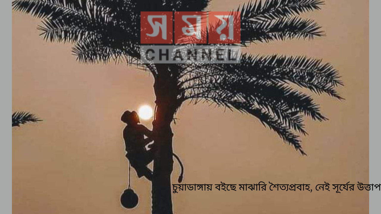 চুয়াডাঙ্গায় বইছে মাঝারি শৈত্যপ্রবাহ, নেই সূর্যের উত্তাপ