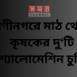 রাণীনগরে মাঠ থেকে কৃষকের দু‘টি শ্যালোমেশিন চুরি