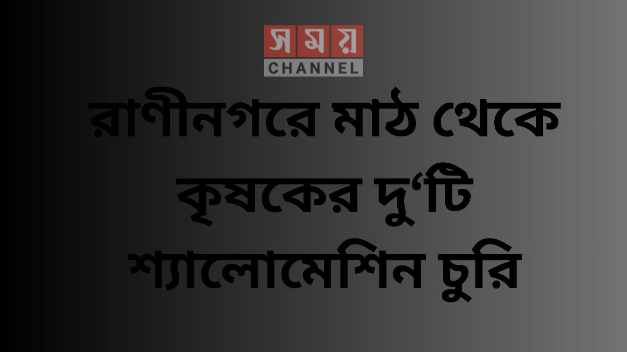 রাণীনগরে মাঠ থেকে কৃষকের দু‘টি শ্যালোমেশিন চুরি