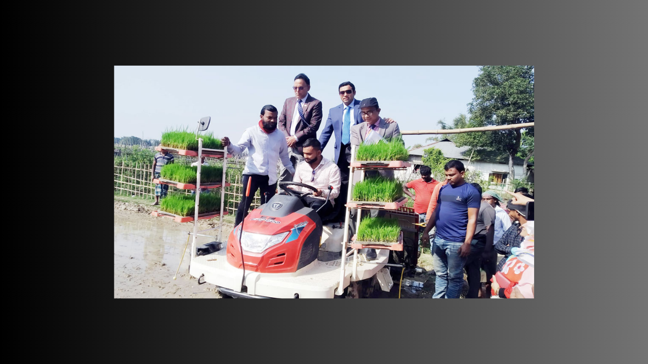 কমলগঞ্জে রাইস ট্রান্সপ্লান্টারের মাধ্যমে ধানের চারা রোপণ