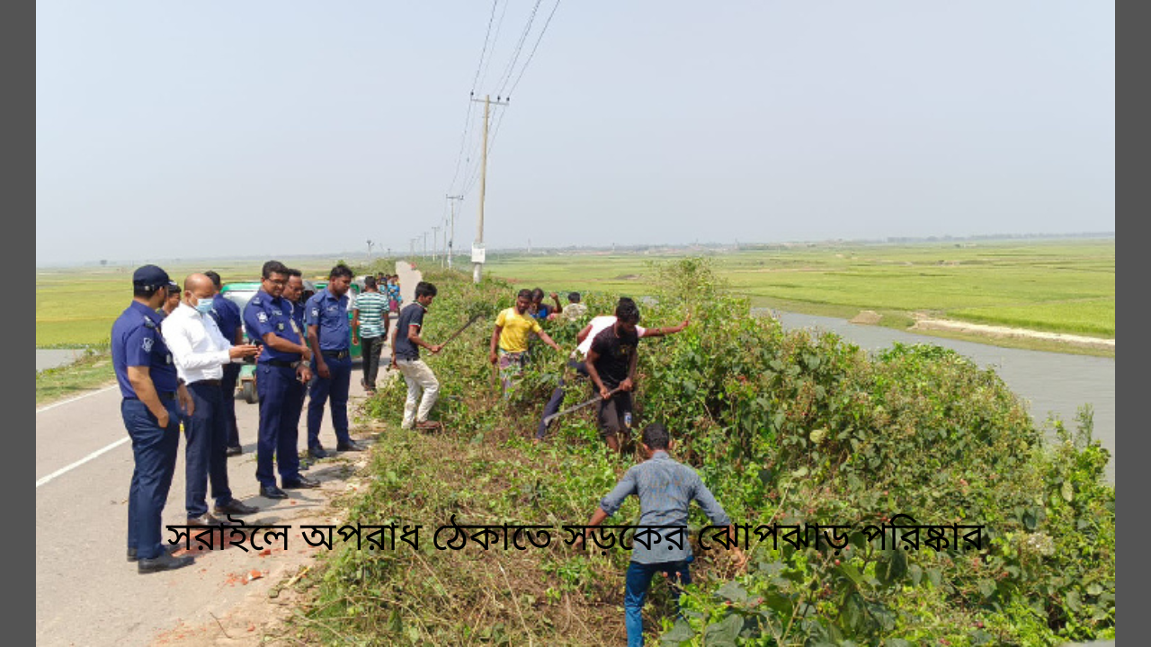 সরাইলে অপরাধ ঠেকাতে সড়কের ঝোপঝাড় পরিষ্কার