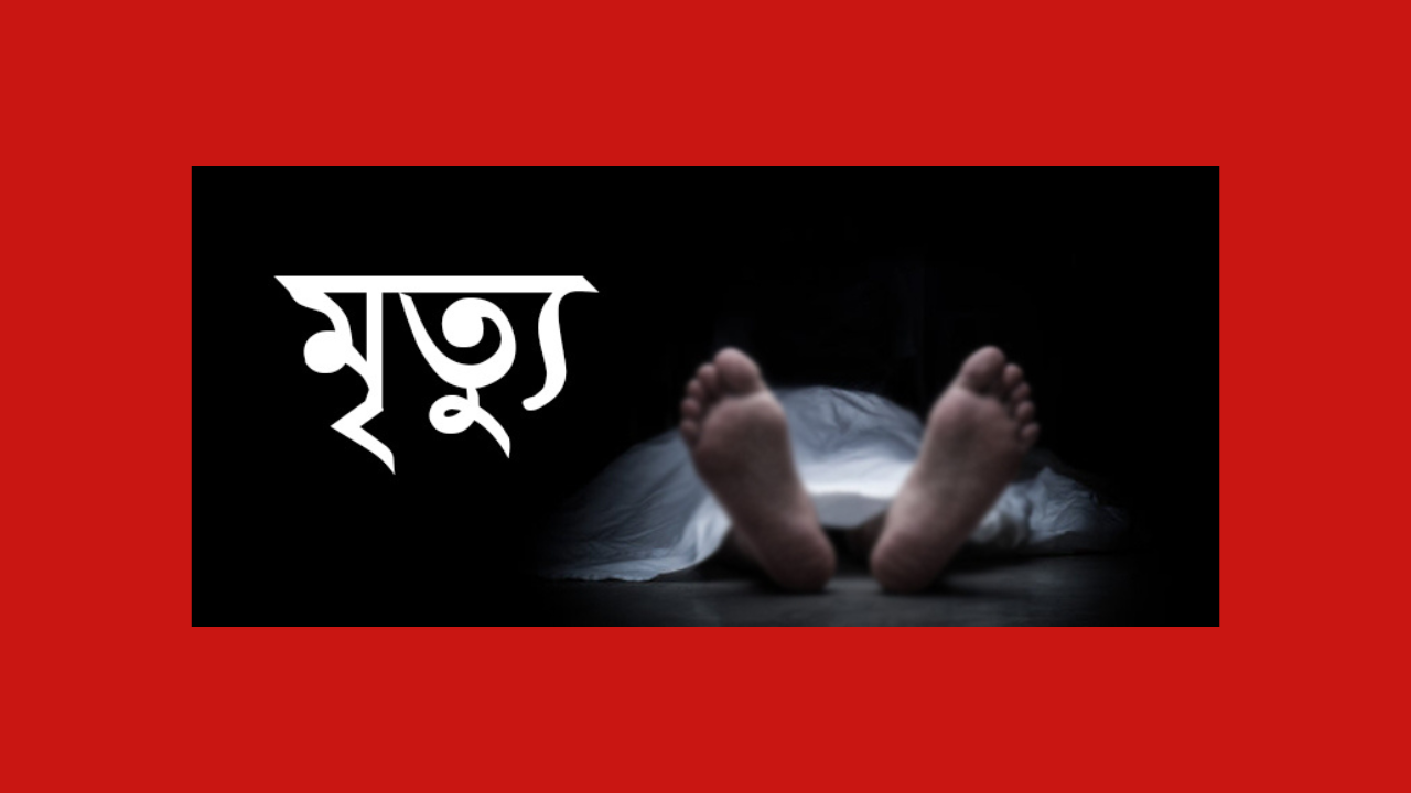 রামপালে পিকআপের ধাক্কায় শিশুর মৃত্যু