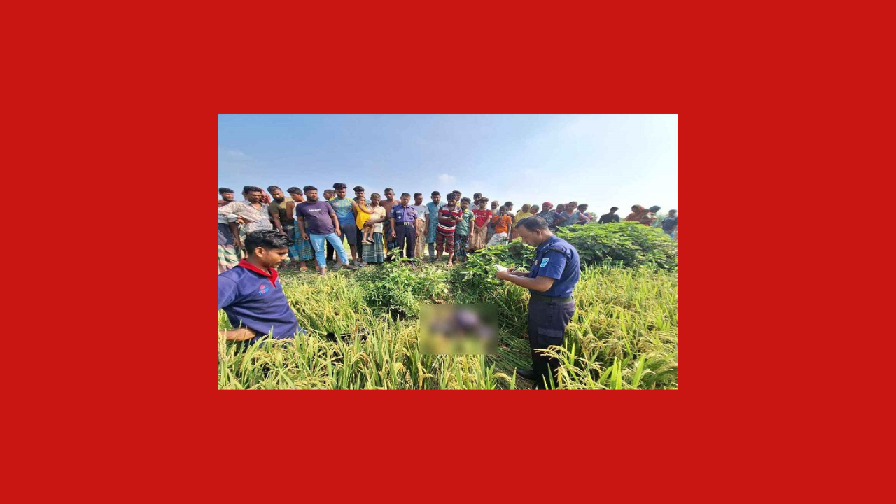 জামালপুরে ধান ক্ষেত থেকে অটোচালকের লাশ উদ্ধার